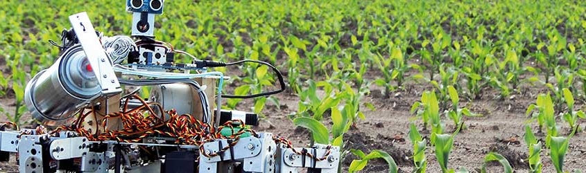 Robotic Farms are a Hot Topic in the Ag Industry